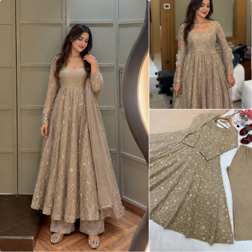 Savena Anarkali Gown Set - Front Detail