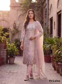 Designer Embroidered Palazzo Suit – 3-Piece Net Suit with Moti Work view 4